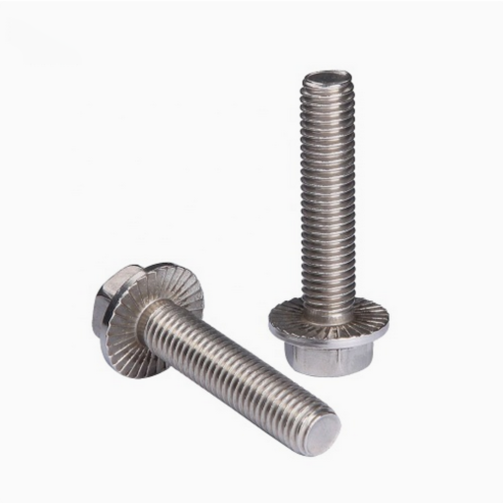 맞춤형 M19 육각 플랜지 볼트